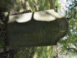 image of grave number 806531